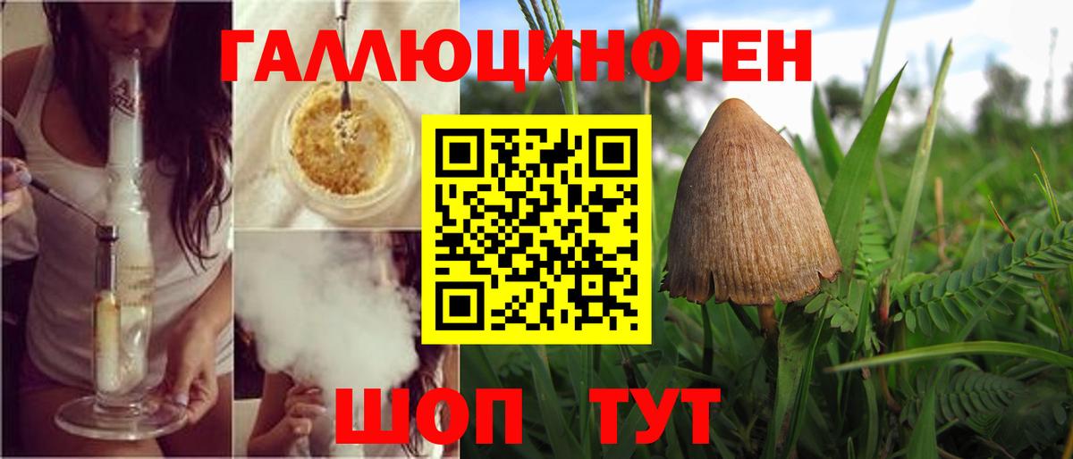 Павловский Посад  Галлюциногенные грибы MAGIC MUSHROOMS  Вход с VPN 